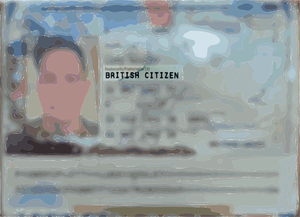 Passport with selective data reveal interface